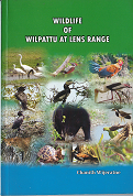 Wildlife of Wilpattu at Lens Range