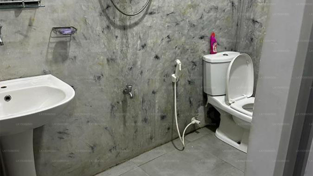 The Jungle House, Unawatuna