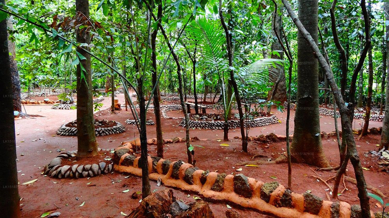 Paramount 200 Spice Garden, Matale