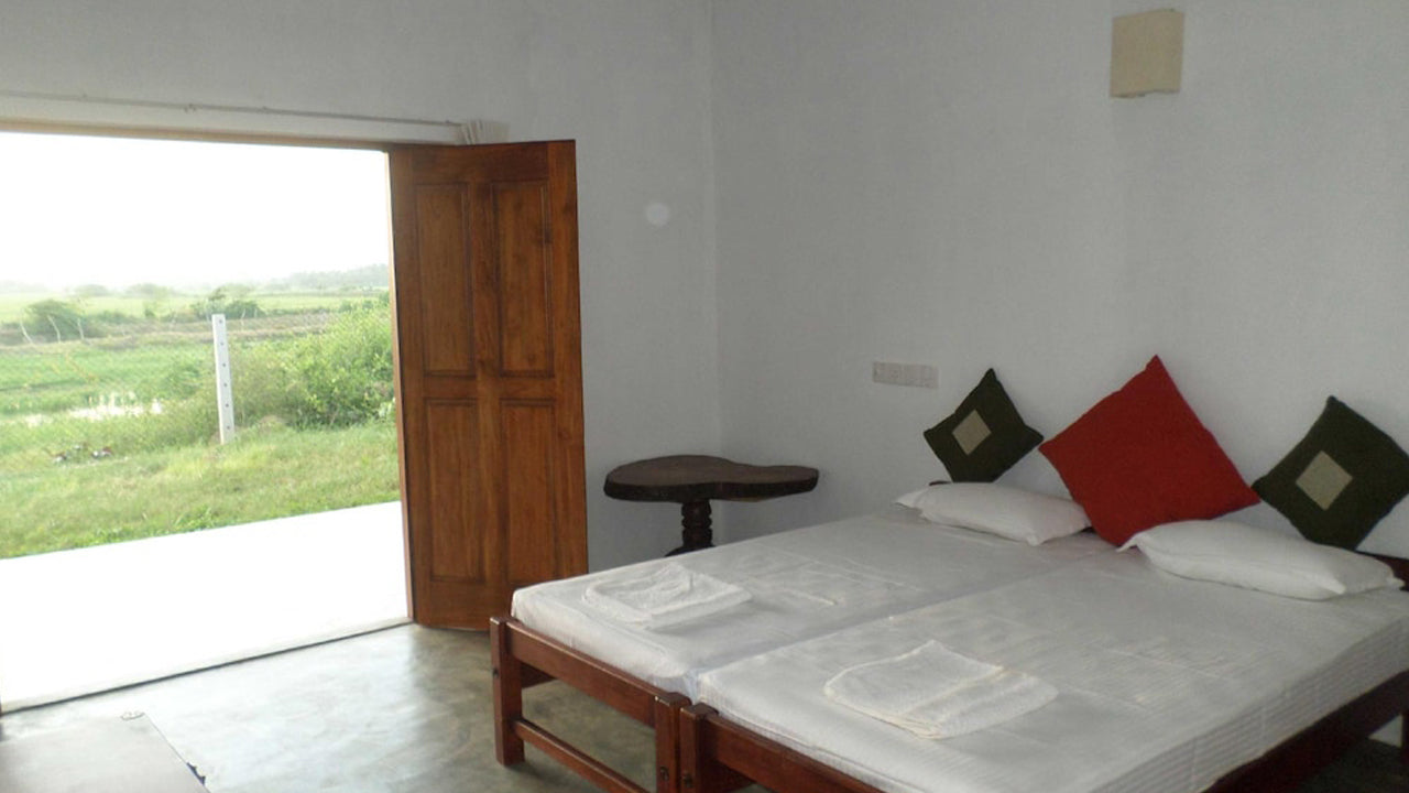 Crazy Peacock, Kirinda