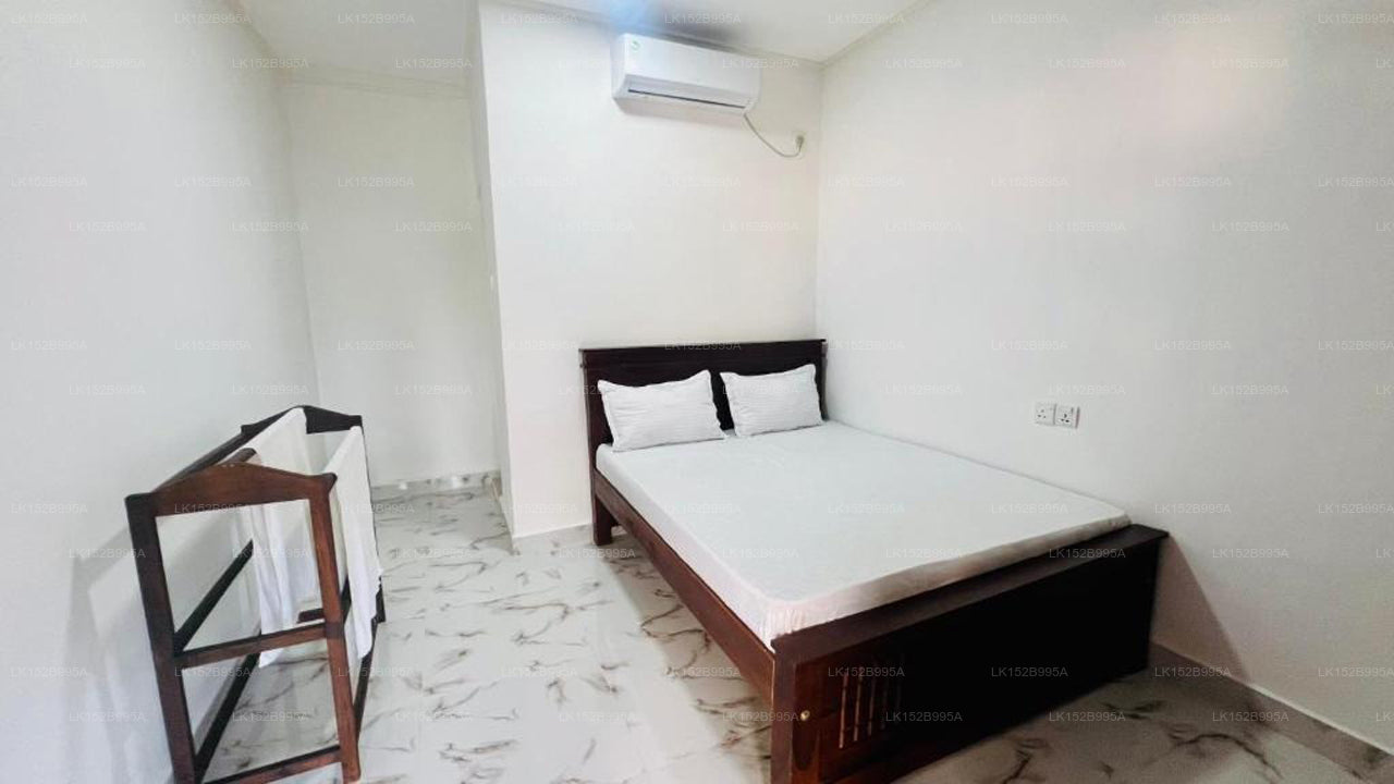 Coconut Leaf Shadow Guest, Nilaveli