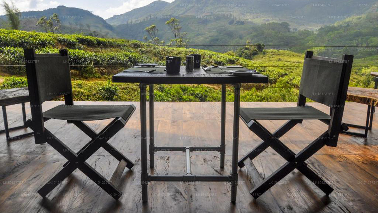 Wild Glamping Knuckles