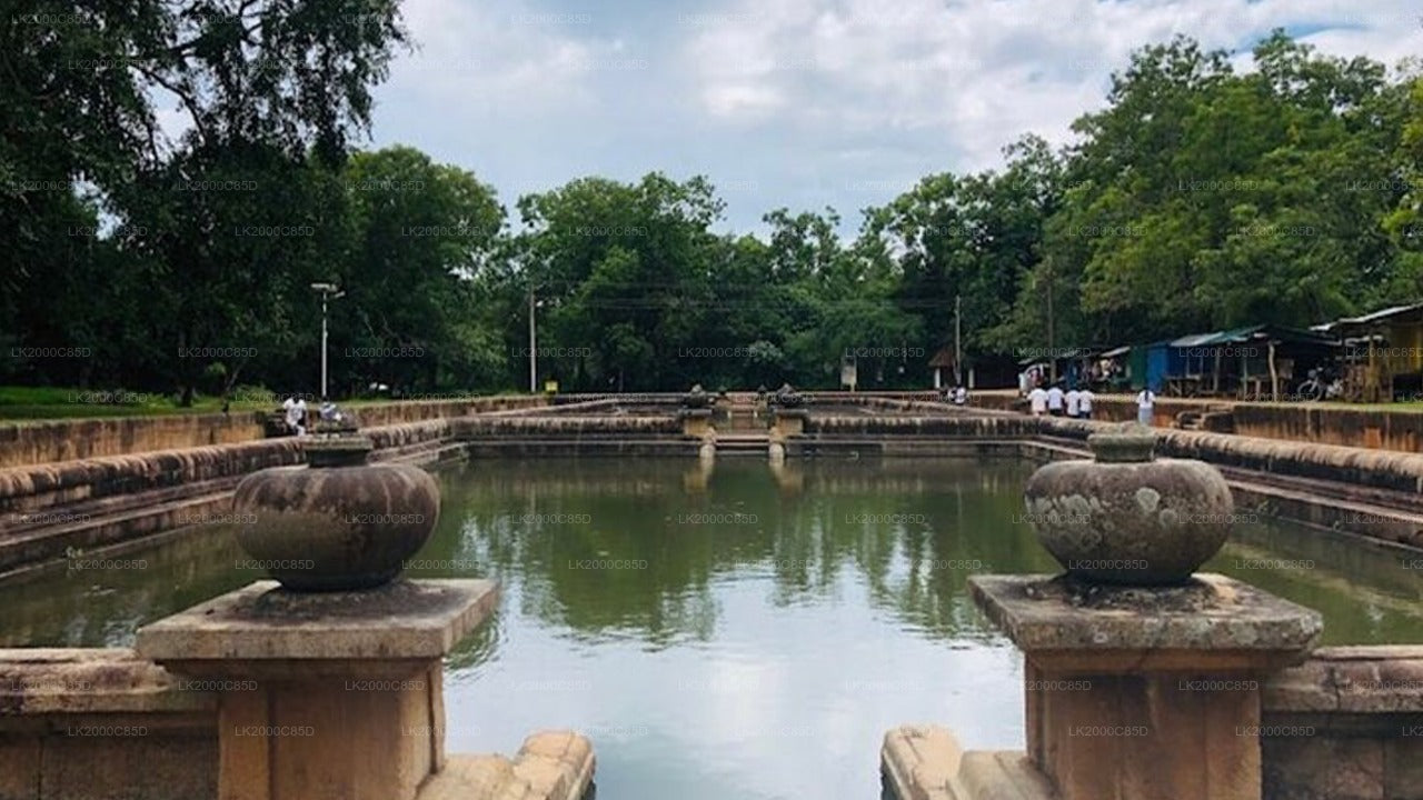 Begeleide rondleiding door het heilige gebied van Anuradhapura inclusief toegangskaarten
