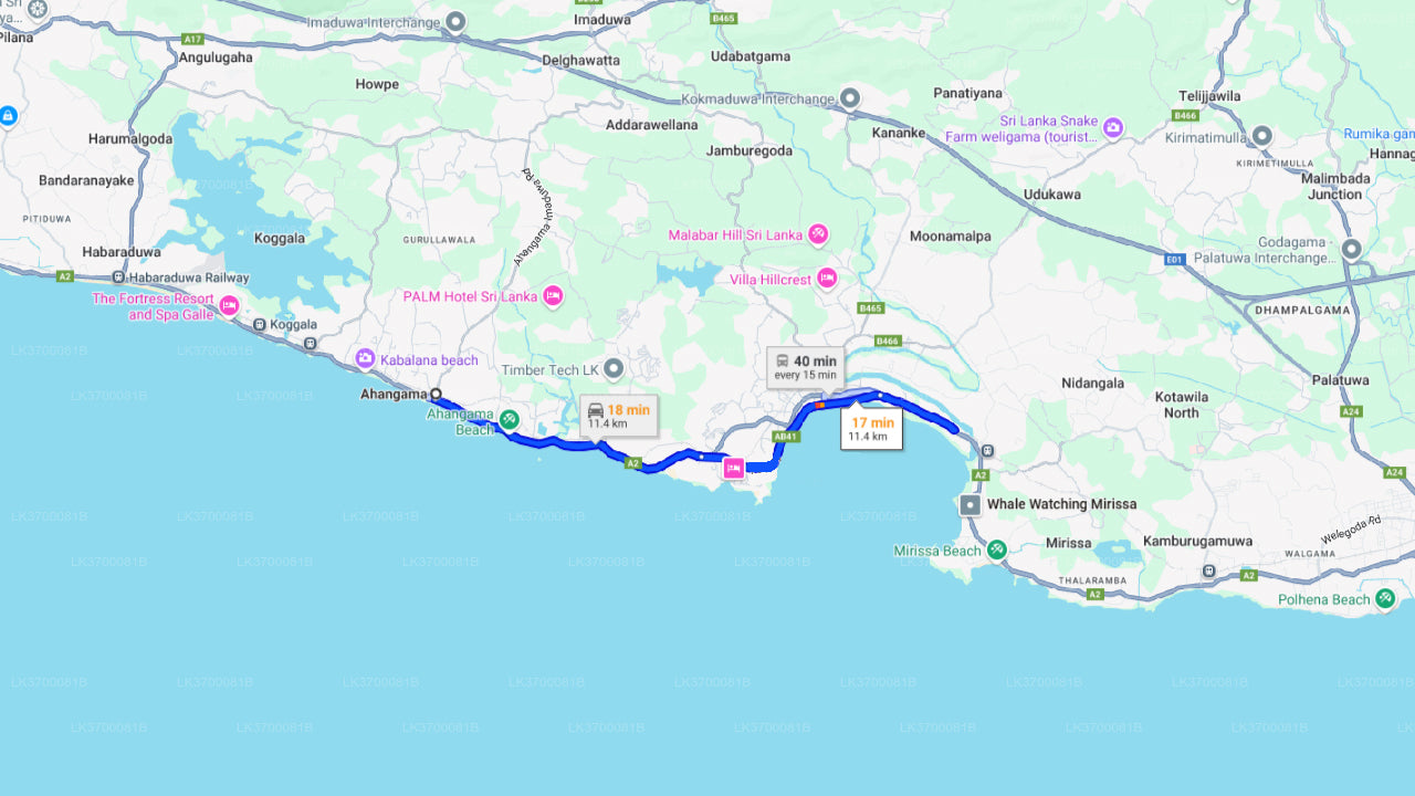 Walvissen spotten vanuit Ahangama op een gedeelde boot