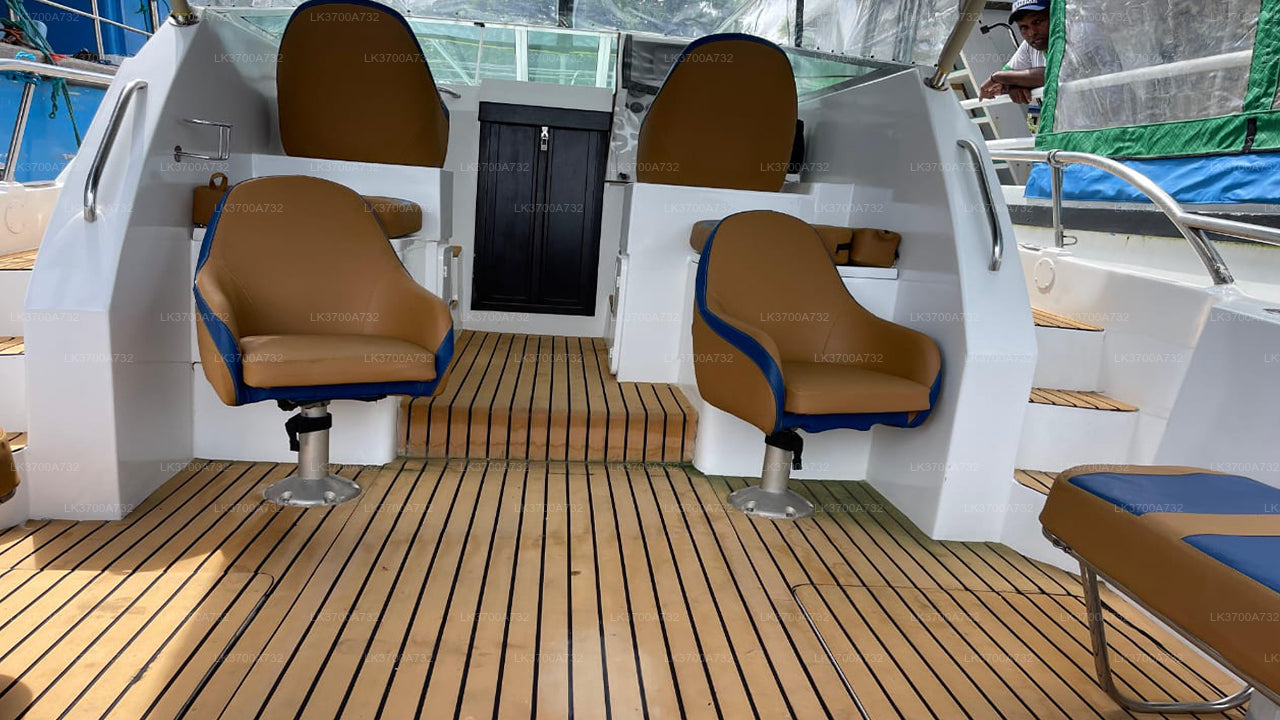 Privé walvisspotten per luxe speedboot vanuit Mirissa
