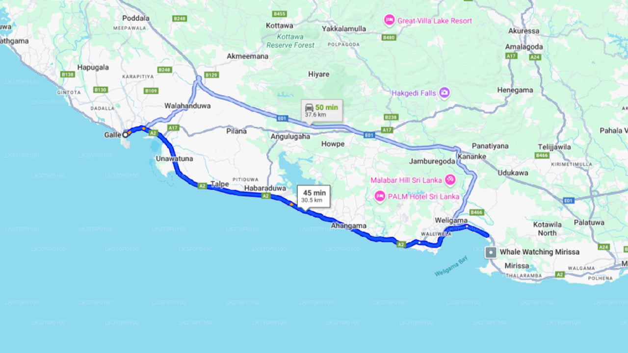 Walvissen spotten vanuit Hiriketiya op een gedeelde boot