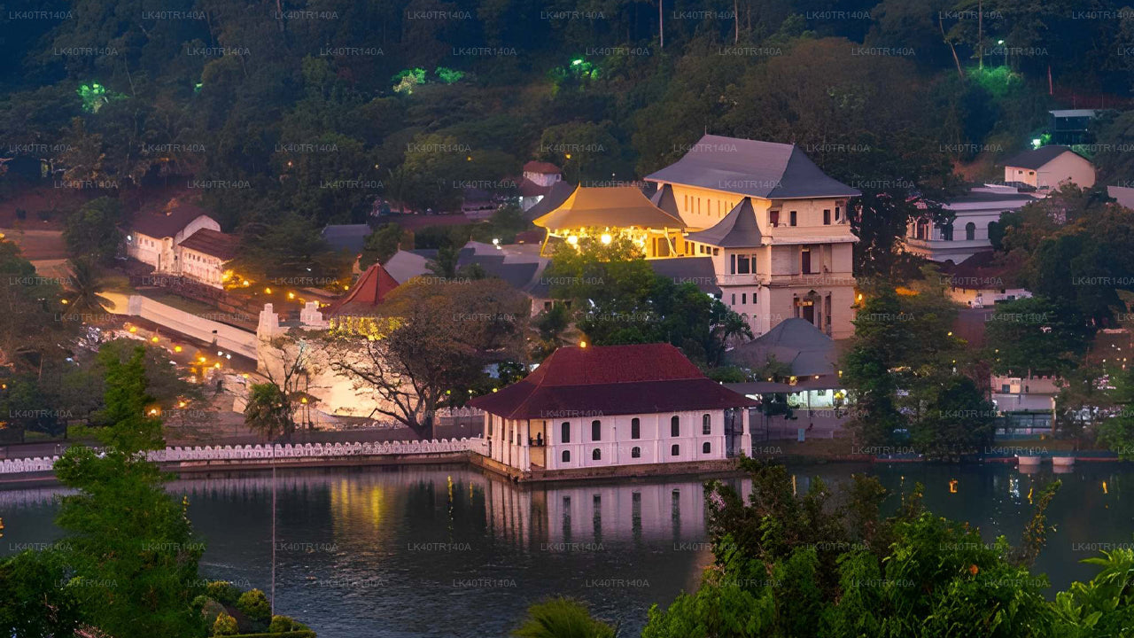 Van Ella naar Kandy: een schilderachtige reis per trein, auto of busje.