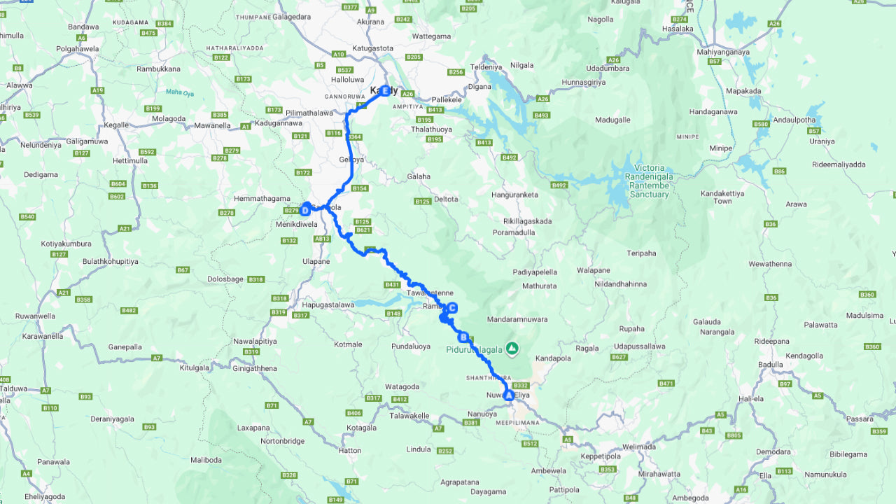 Schilderachtige privétransfer van Nuwara Eliya naar Kandy inclusief sightseeing