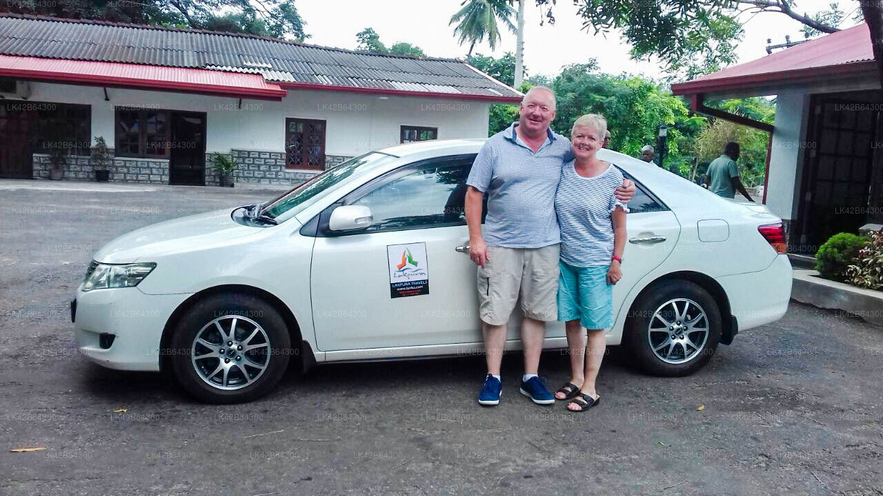 Colombo City to Dikwella City Private Transfer