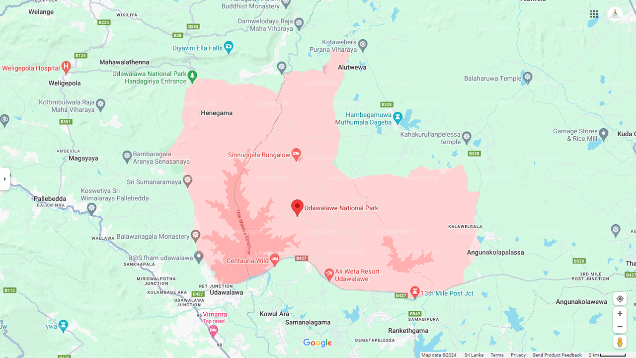 Privésafari in Udawalawe National Park met natuuronderzoeker