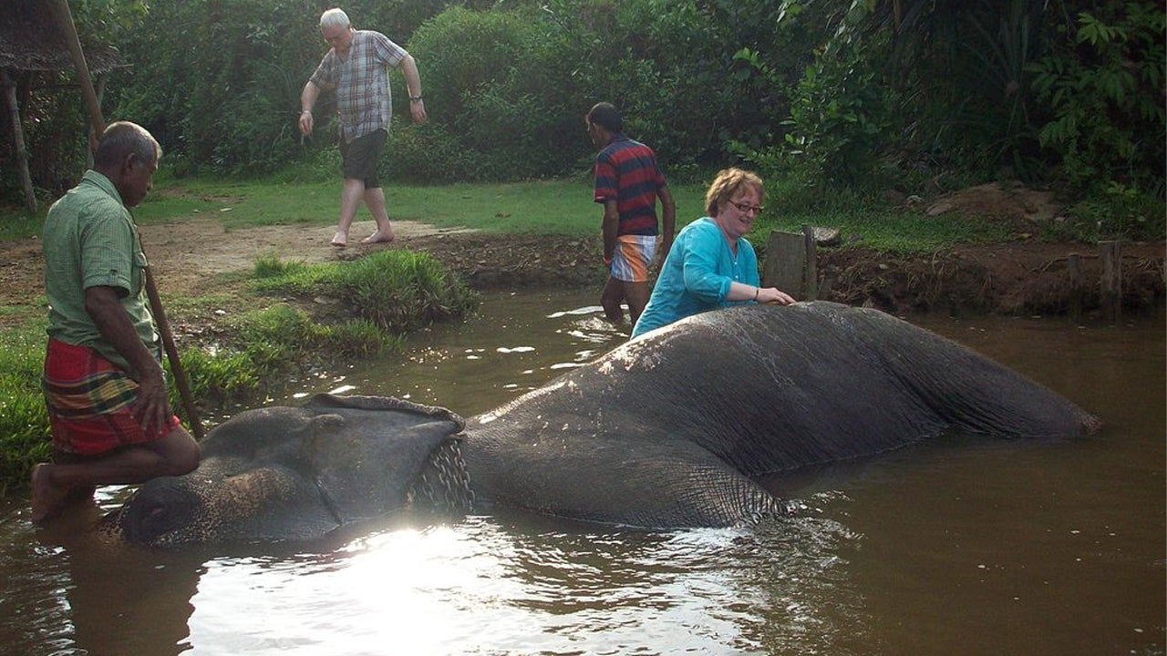 Elephant Riding From Boossa