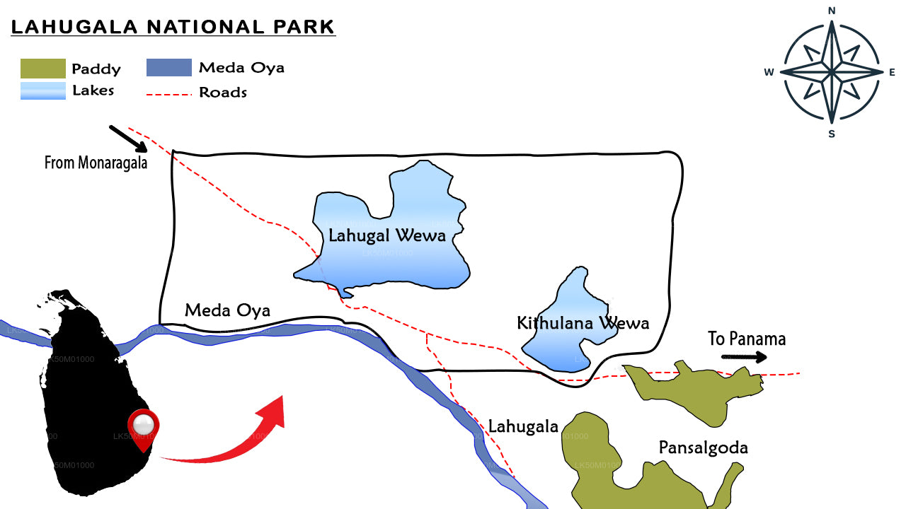 Privésafari naar Lahugala Kitulana Nationaal Park