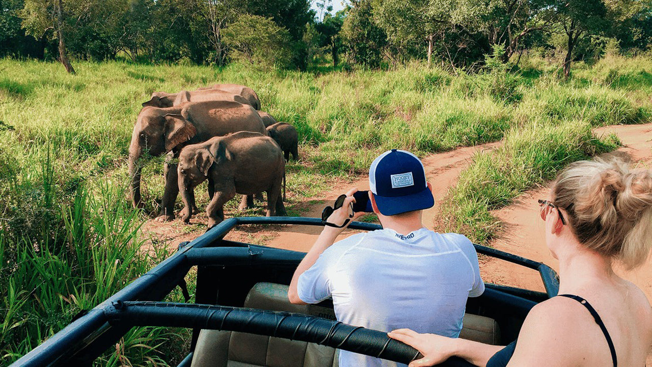 Polonnaruwa Heritage en Hurulu Eco Park Safari vanuit Pasikuda