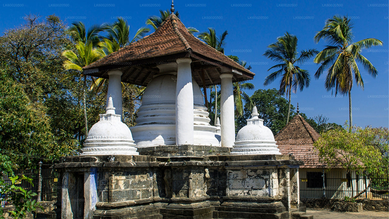 Tempellooptour vanuit Kandy