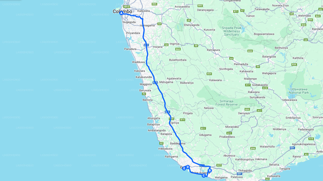 Hoogtepunten van de Zuidkust vanuit Colombo