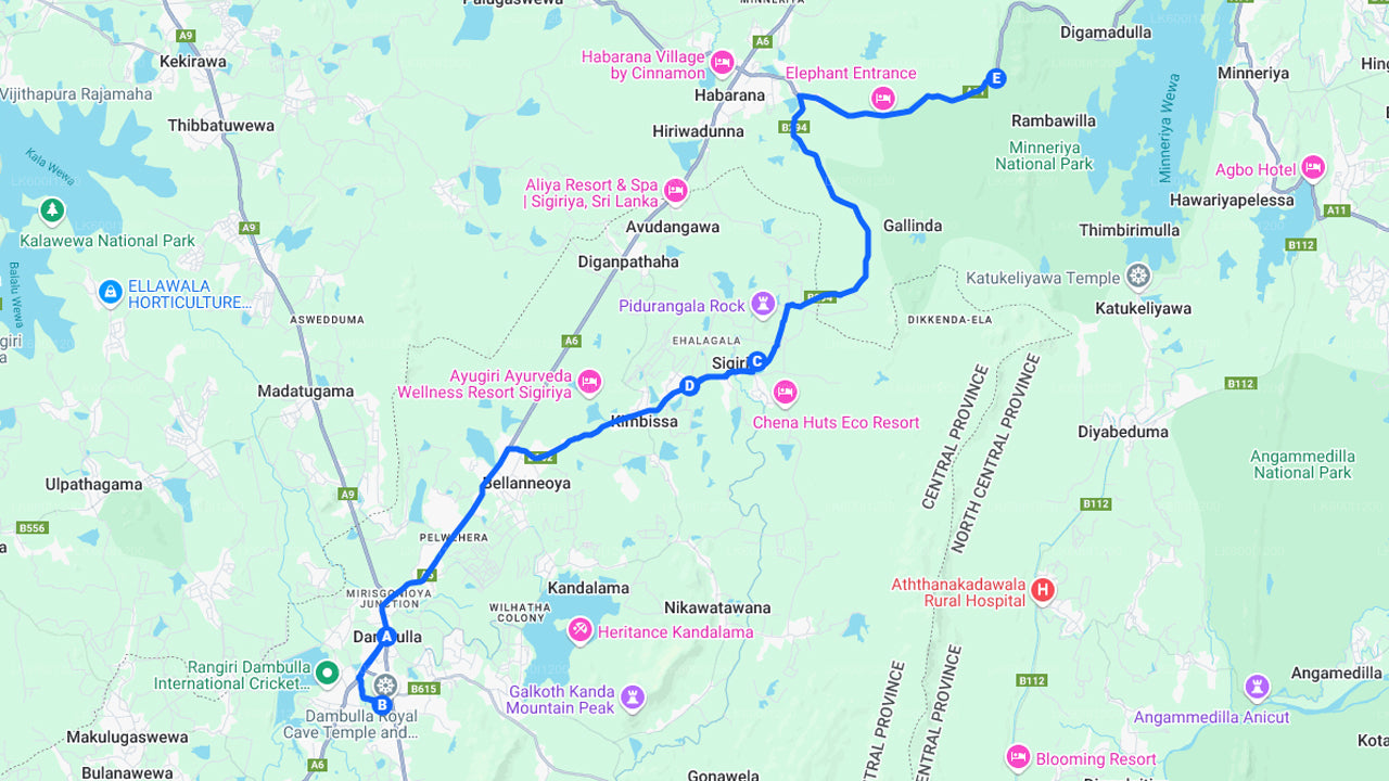 Sigiriya-rots- en wilde olifantensafari vanuit Dambulla