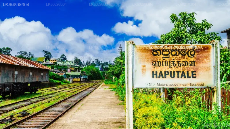 Adisham Bungalow And Thangamale Bird Sanctuary from Haputale