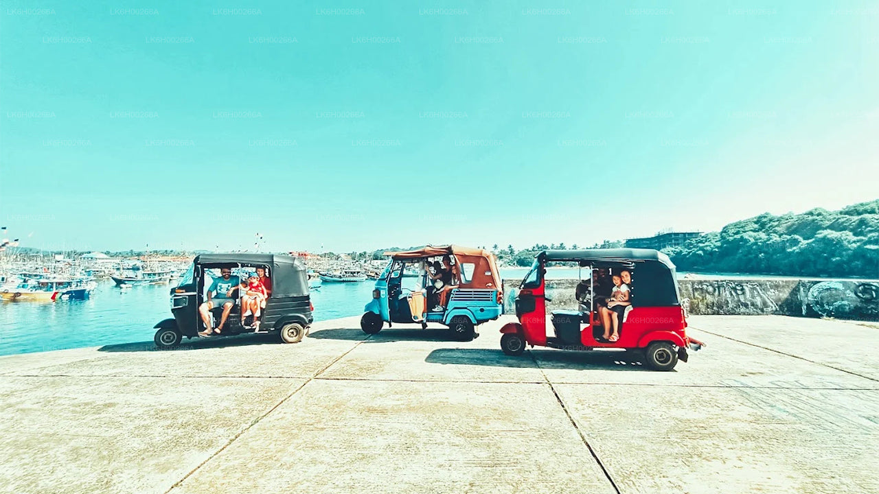 Tuk Tuk Safari langs de zuidkust vanuit Galle