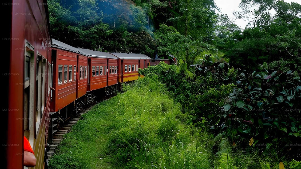 Treinreis van Ambewela naar Ella (Trein nr. 1005/1015)