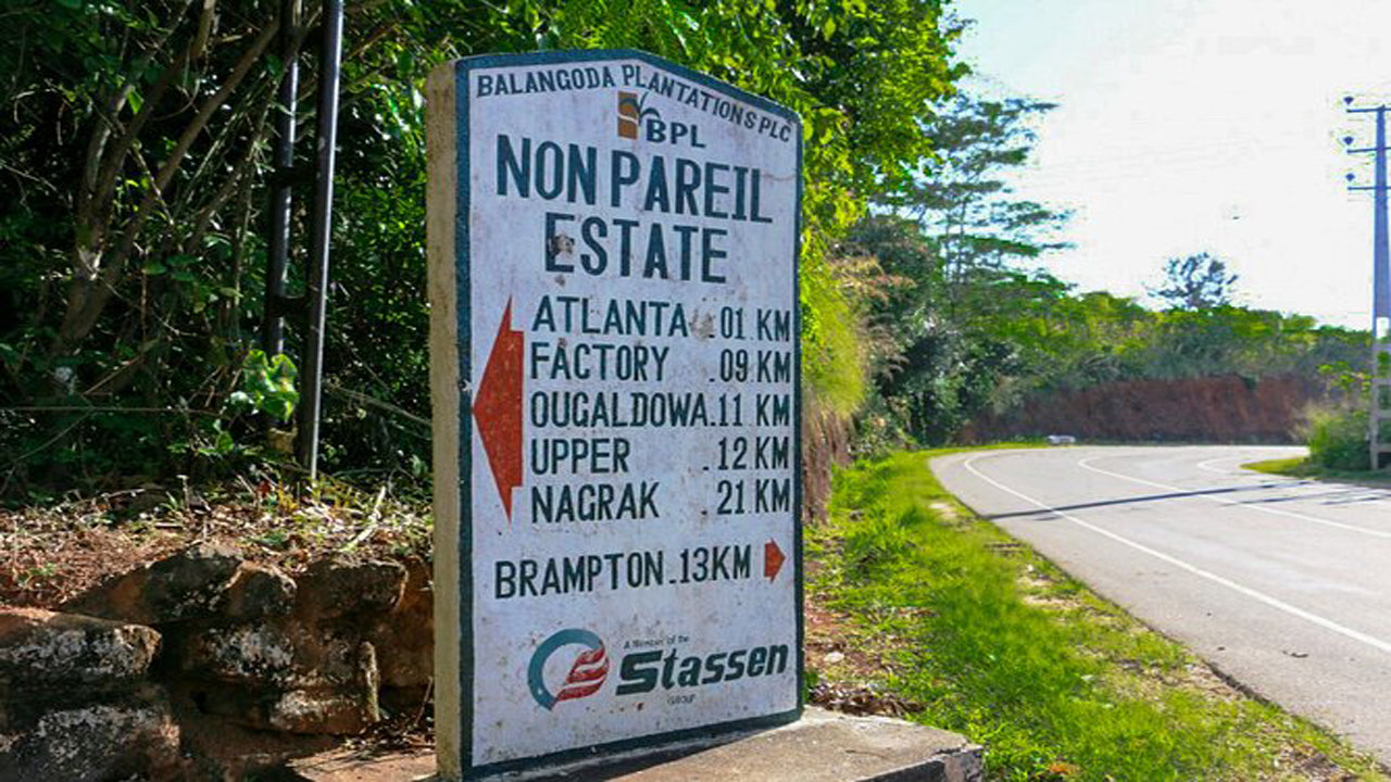 Wandelen in Nonpareil Trail