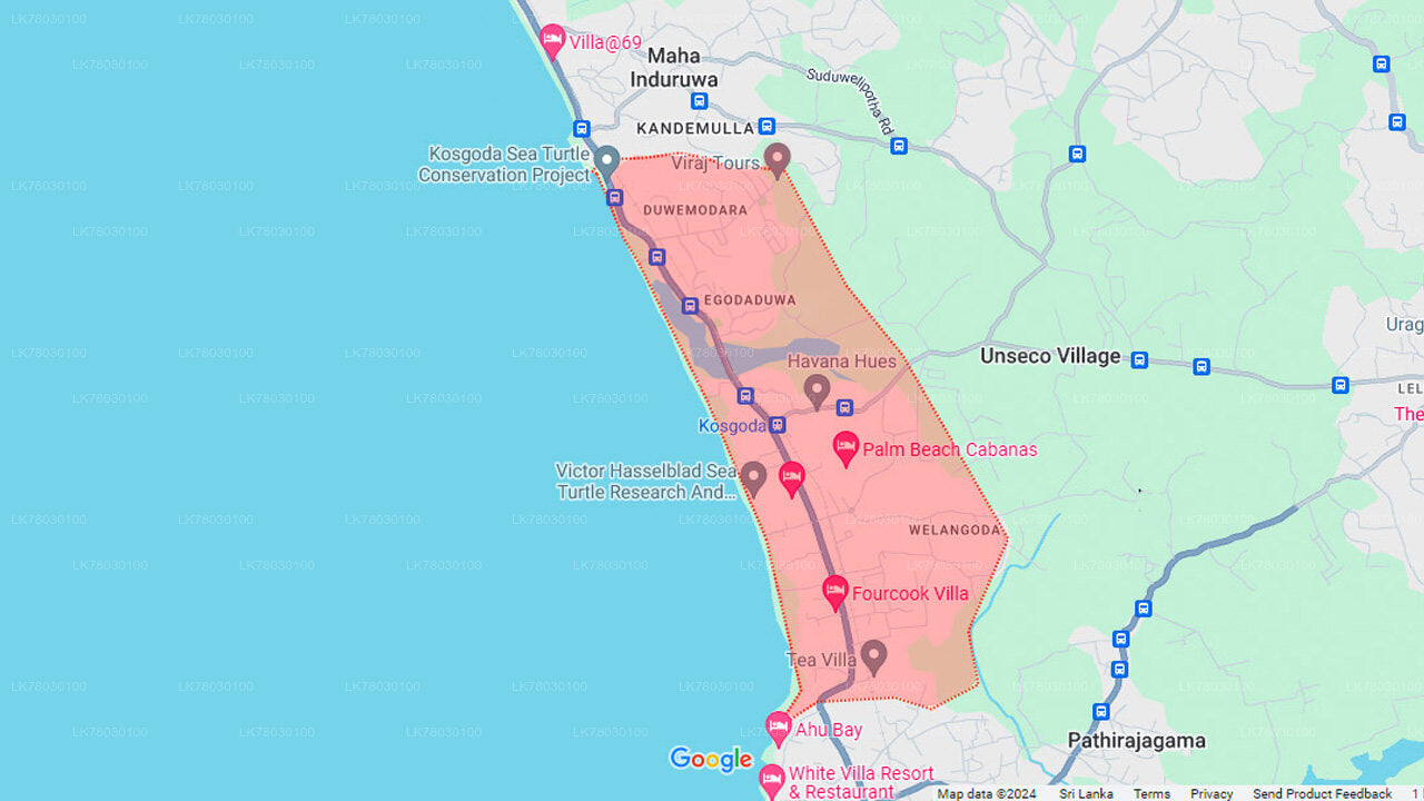 Sri Lankaanse kookles vanuit Bentota