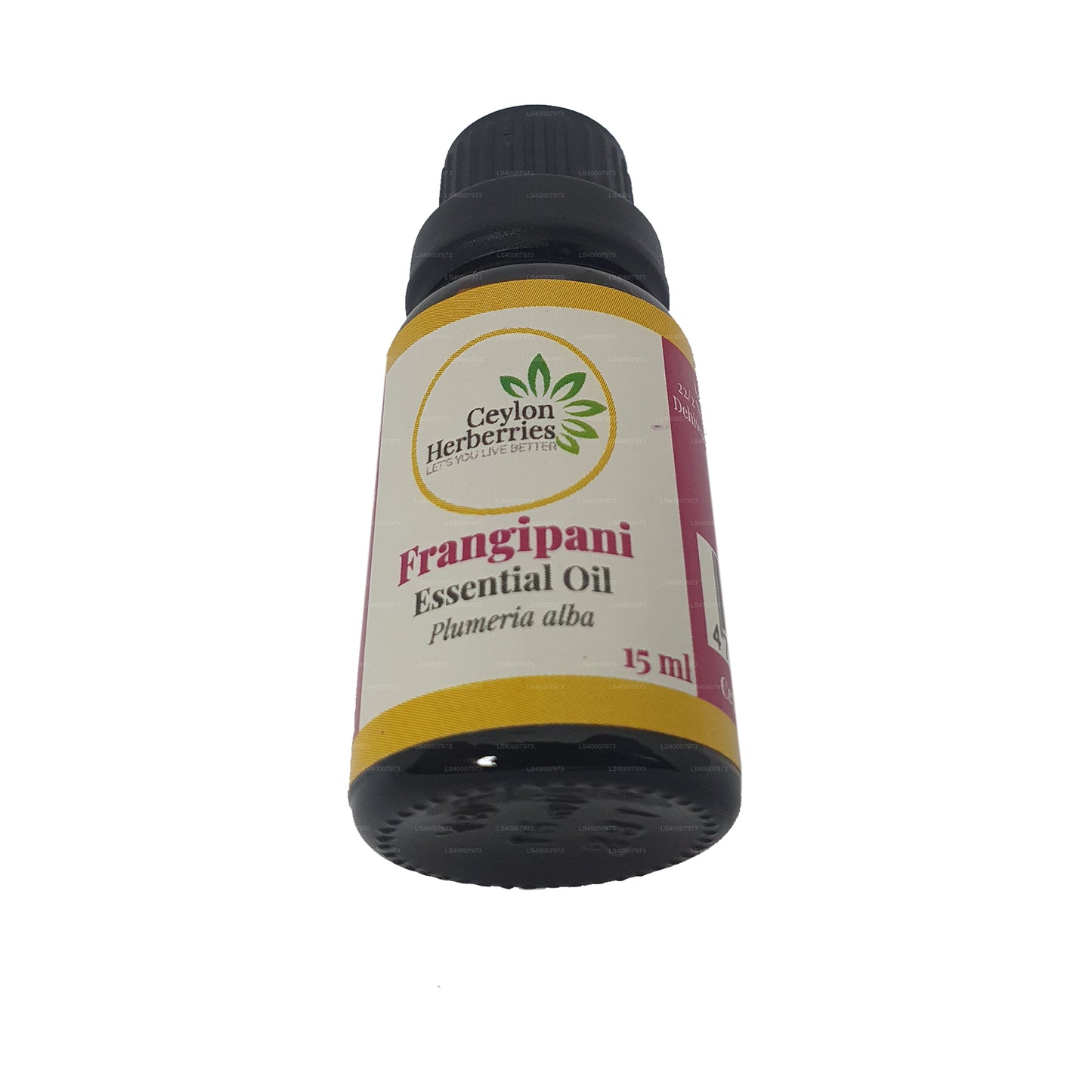 Ceylon Herberries Frangipani etherische olie (Plumeria alba) 15ml