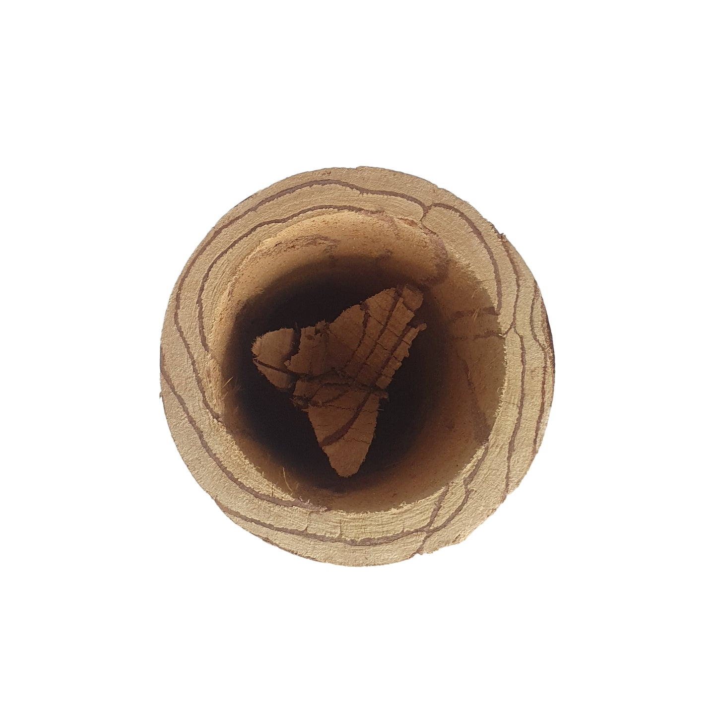 Lakpura® Kothala Himbutu (Salacia reticulata) Mok