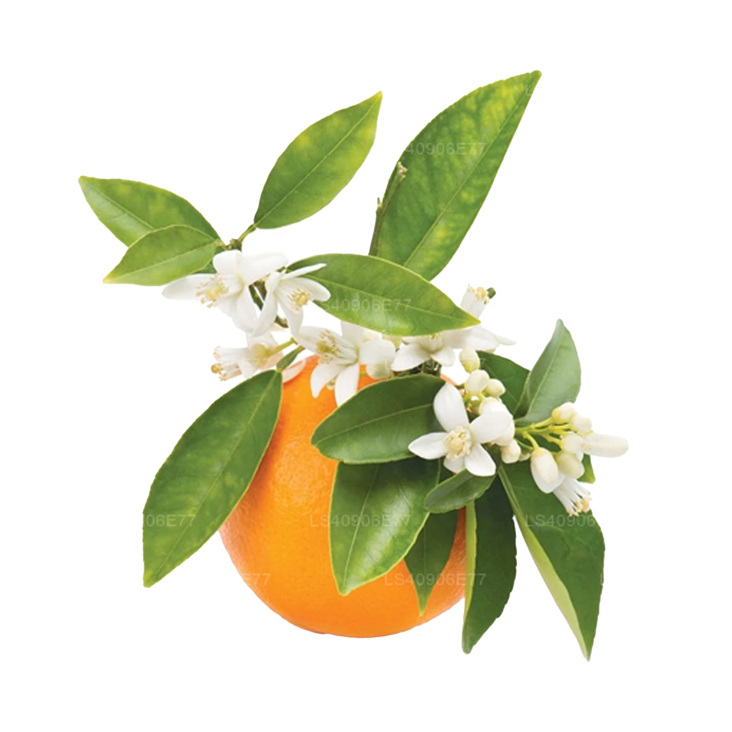 Lakpura Petitgrain etherische olie (15 ml)