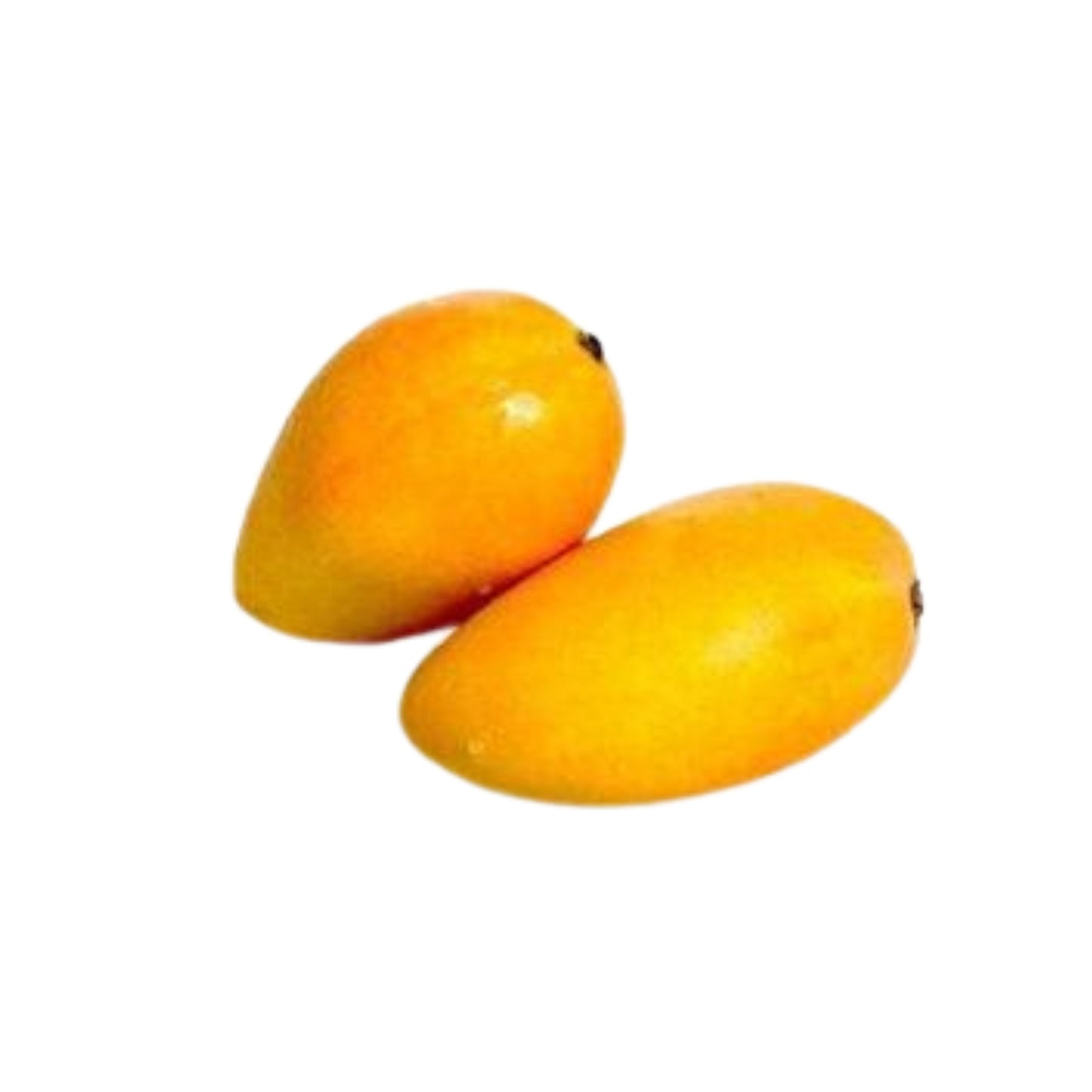 Met mango geënte plant met Lakpura® Alponsu