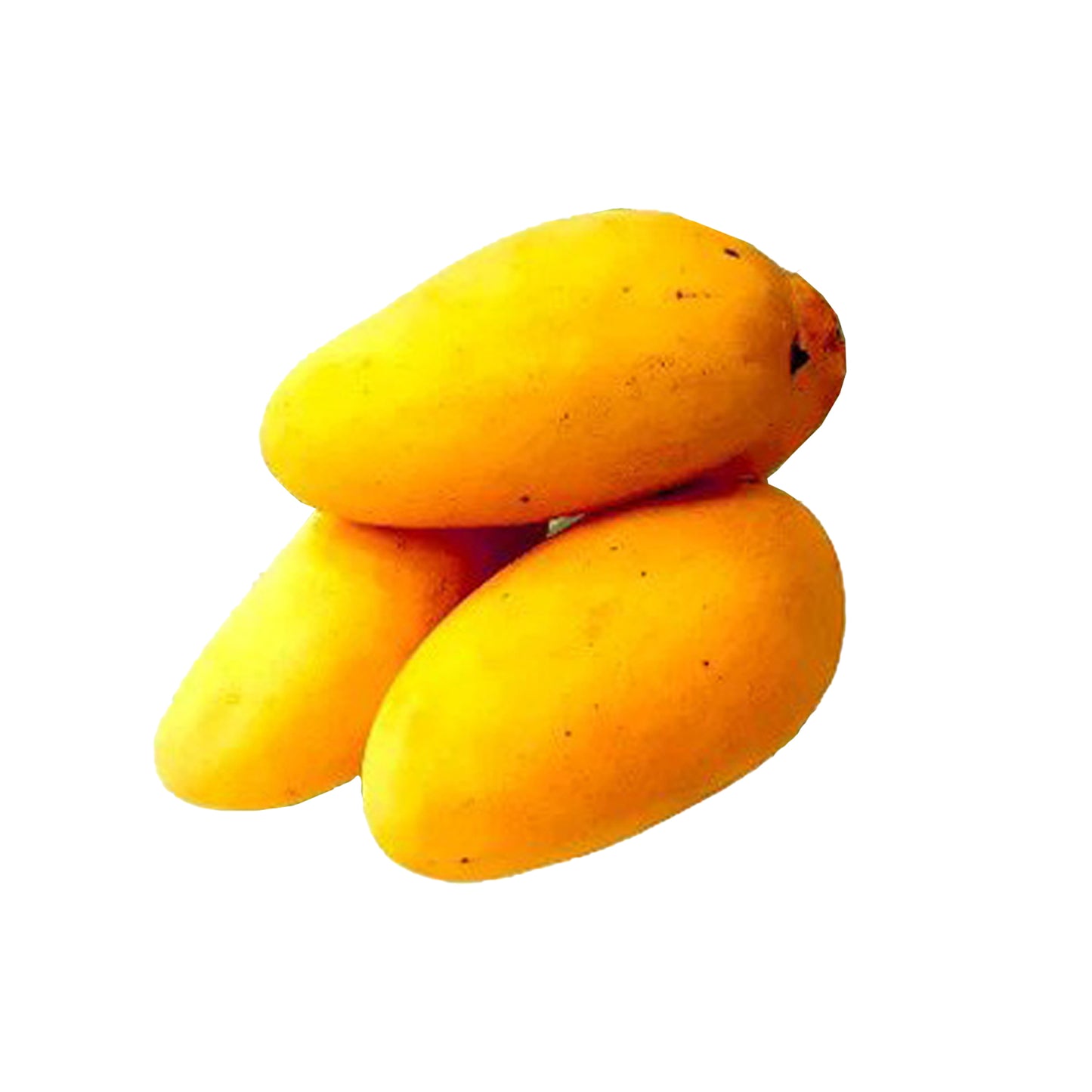 Lakpura® Sunflower Mango Plant