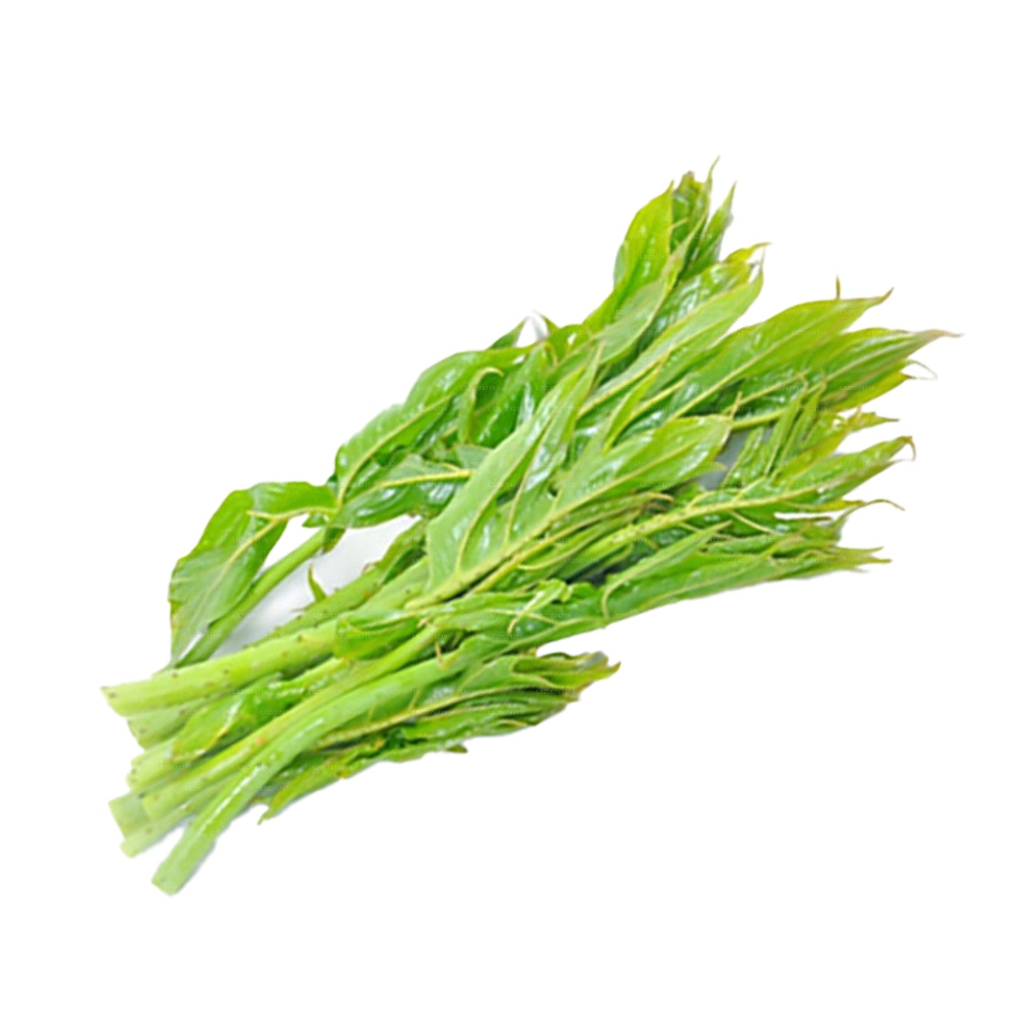 Lakpura Kohila vertrekt