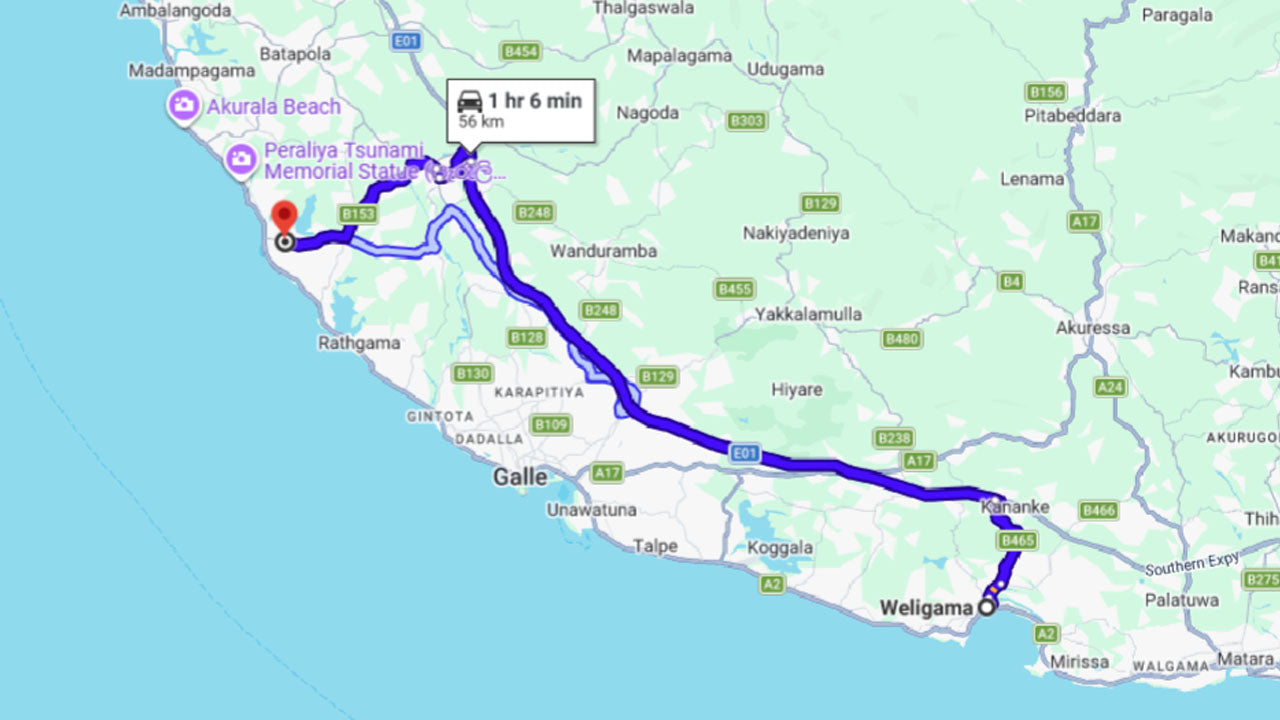 Vrijlating van jonge zeeschildpadden uit Weligama