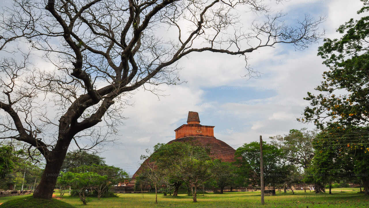 Rondleiding door boeddhistische iconen van Anuradhapura vanuit Dambulla