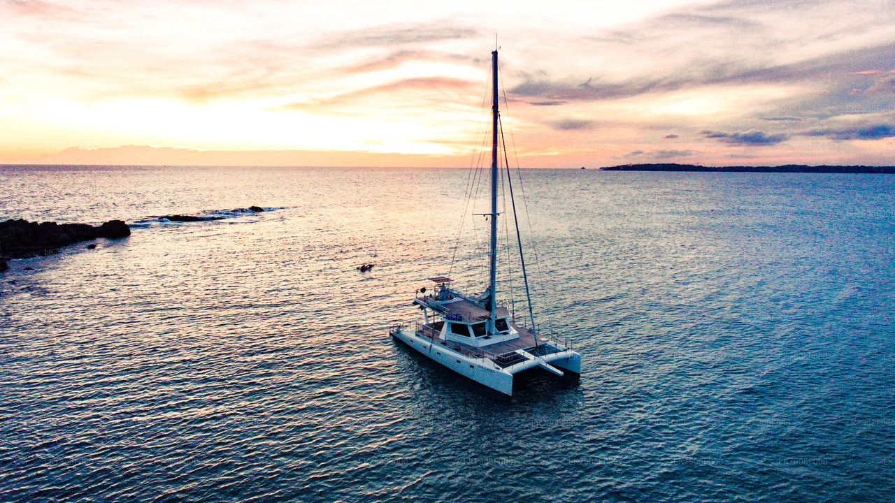 3 nachten cruisevakantie in Mirissa