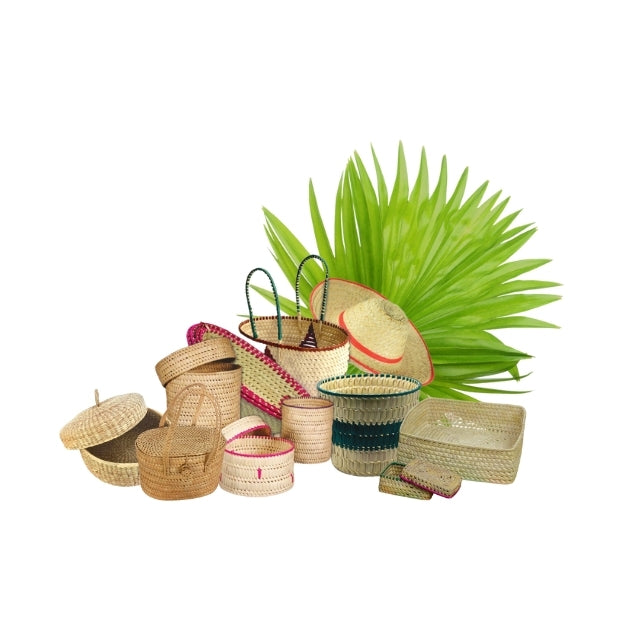 Palmyrah Products