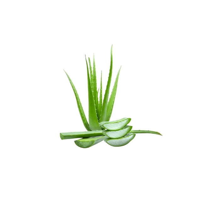 Aloe Vera Products