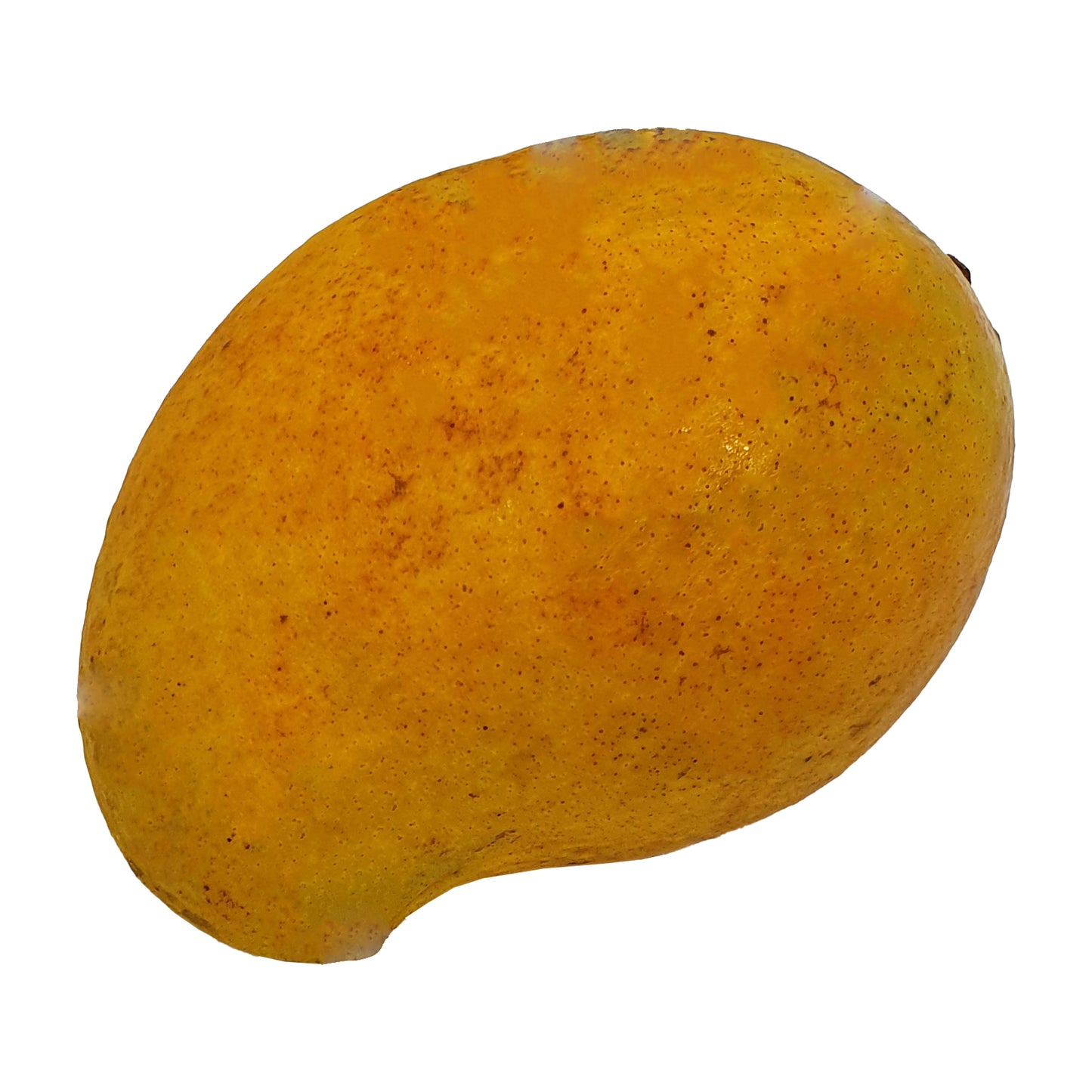 Alphonso Mango (1 kg)