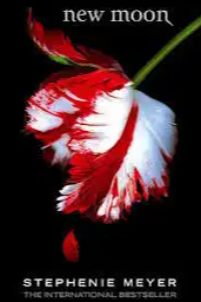 New Moon