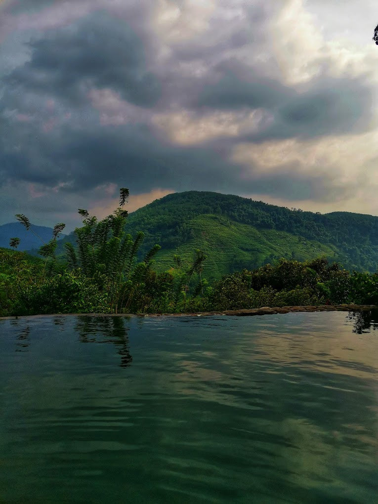 Paradise Eco Garden, Kithulgala