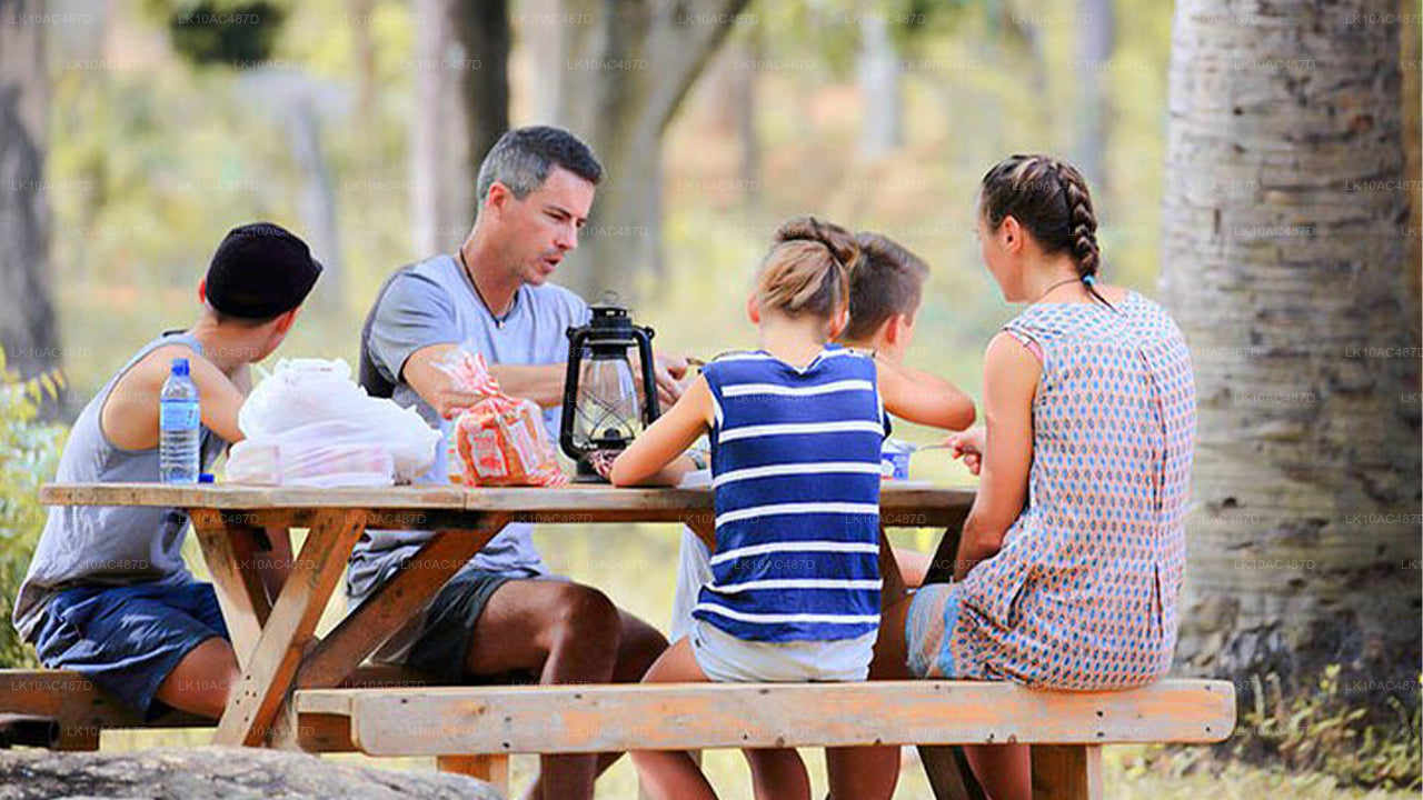 Duurzame tour (10 dagen)