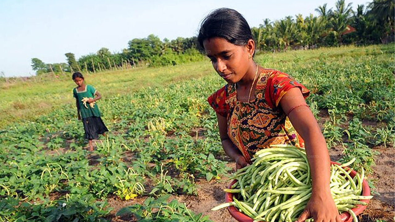 Duurzame tour (10 dagen)