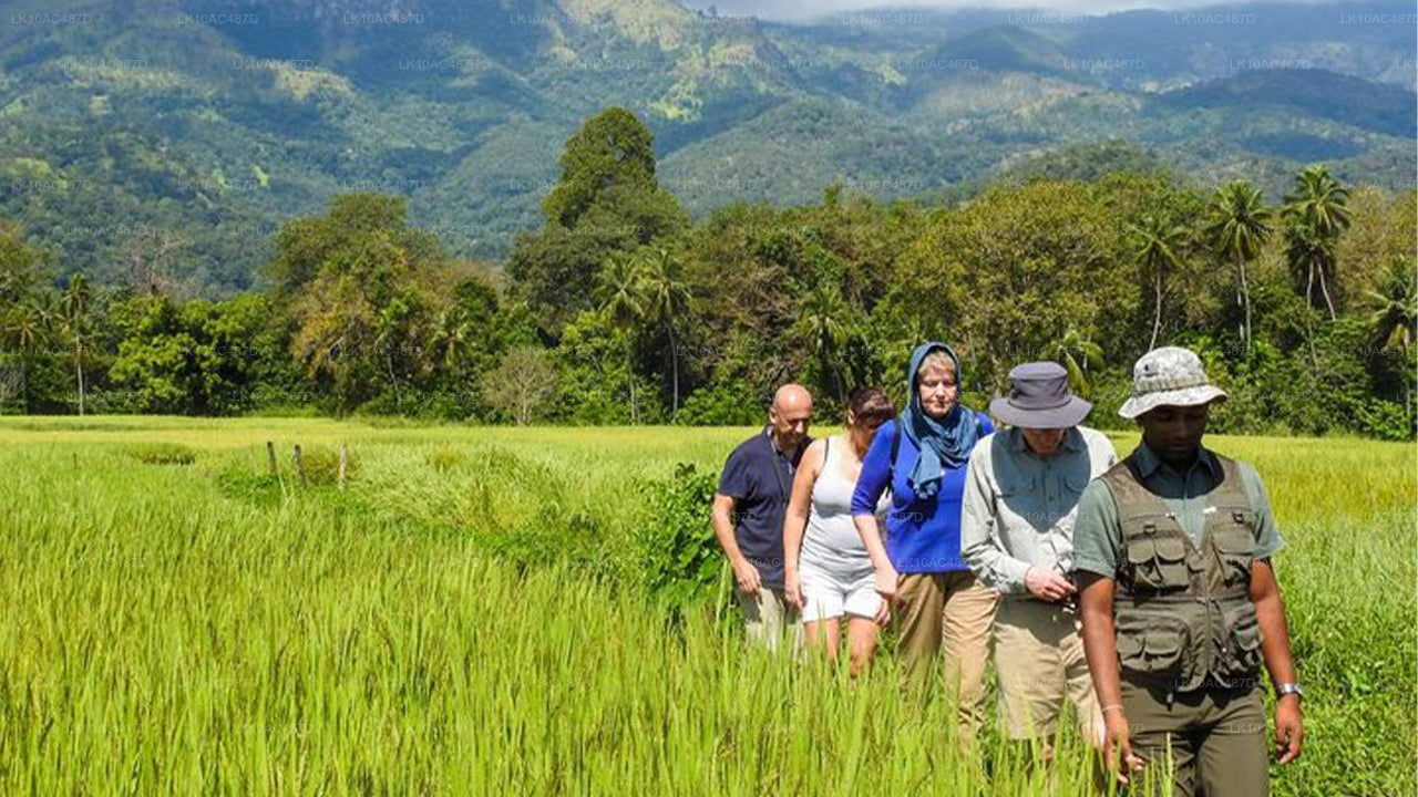 Duurzame tour (10 dagen)