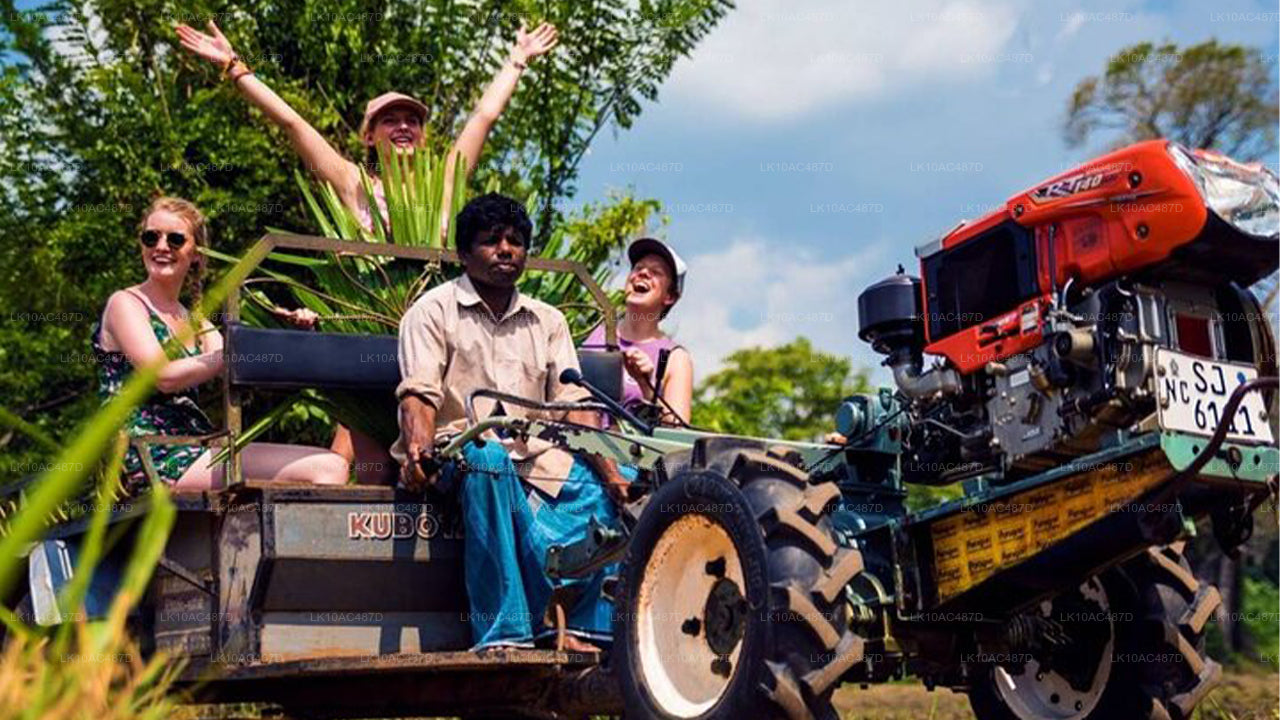 Duurzame tour (10 dagen)