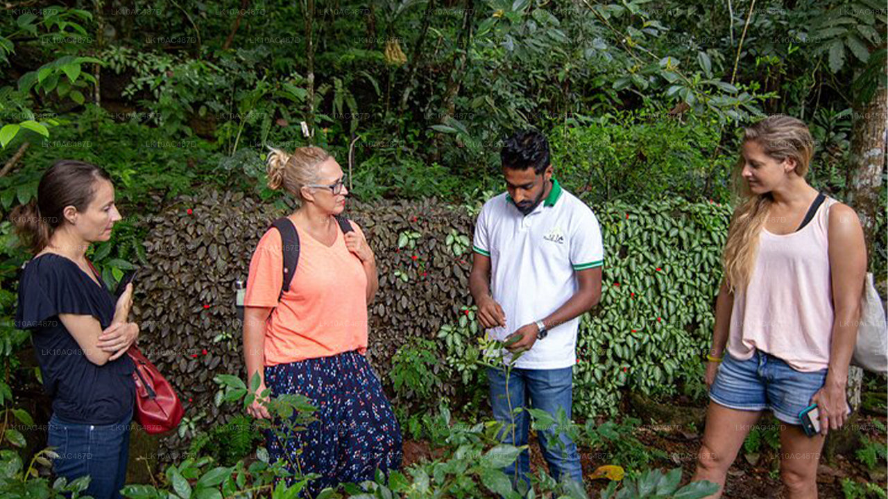 Duurzame tour (10 dagen)