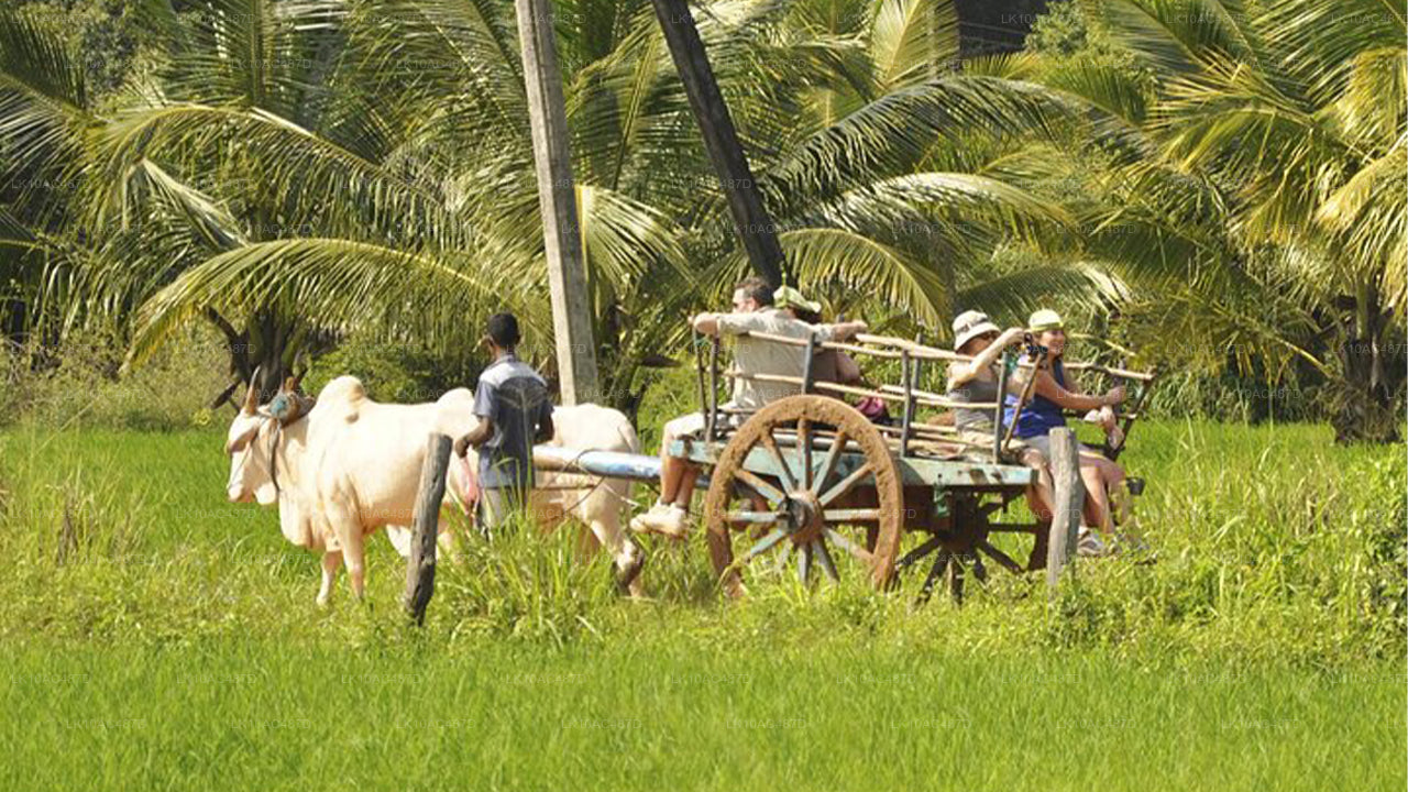 Duurzame tour (10 dagen)