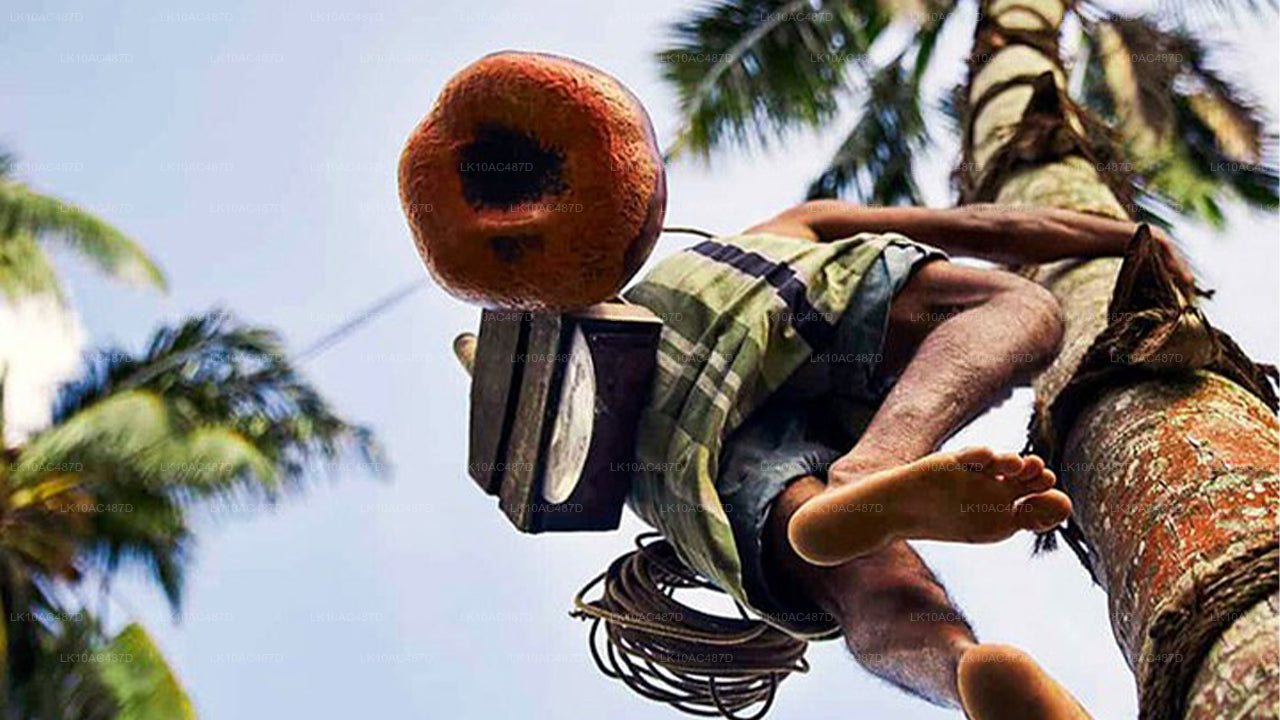 Duurzame tour (10 dagen)