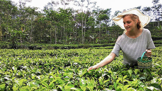 Duurzame tour (10 dagen)