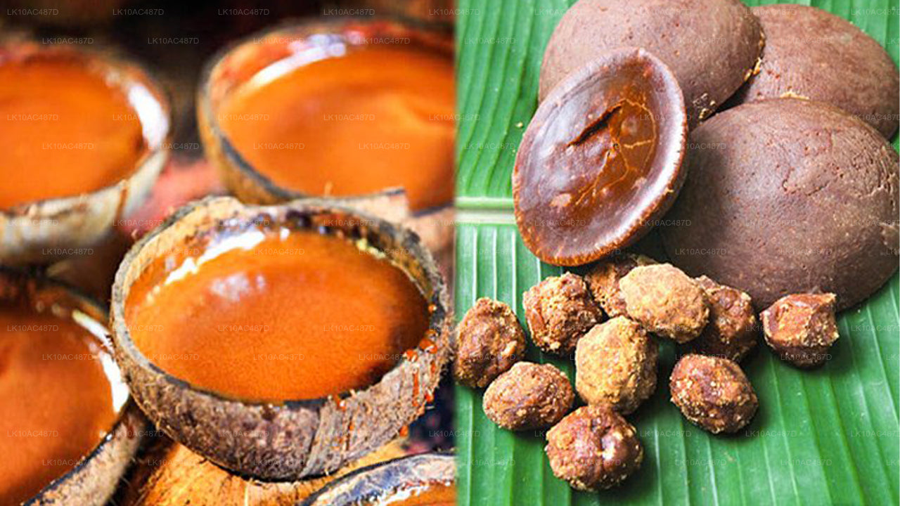 Duurzame tour (10 dagen)