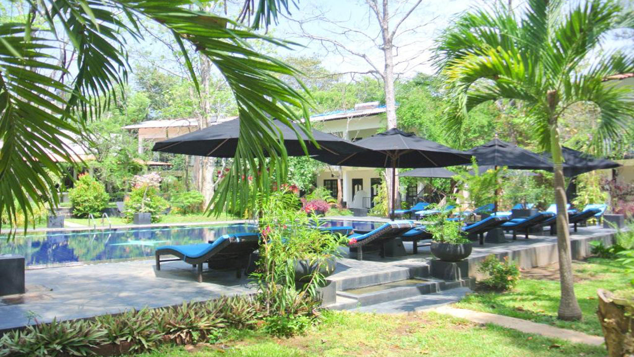 Eco-dorp met bloementuin, Sigiriya