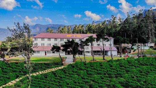Tea & Experience Factory, Mandaram Nuwara
